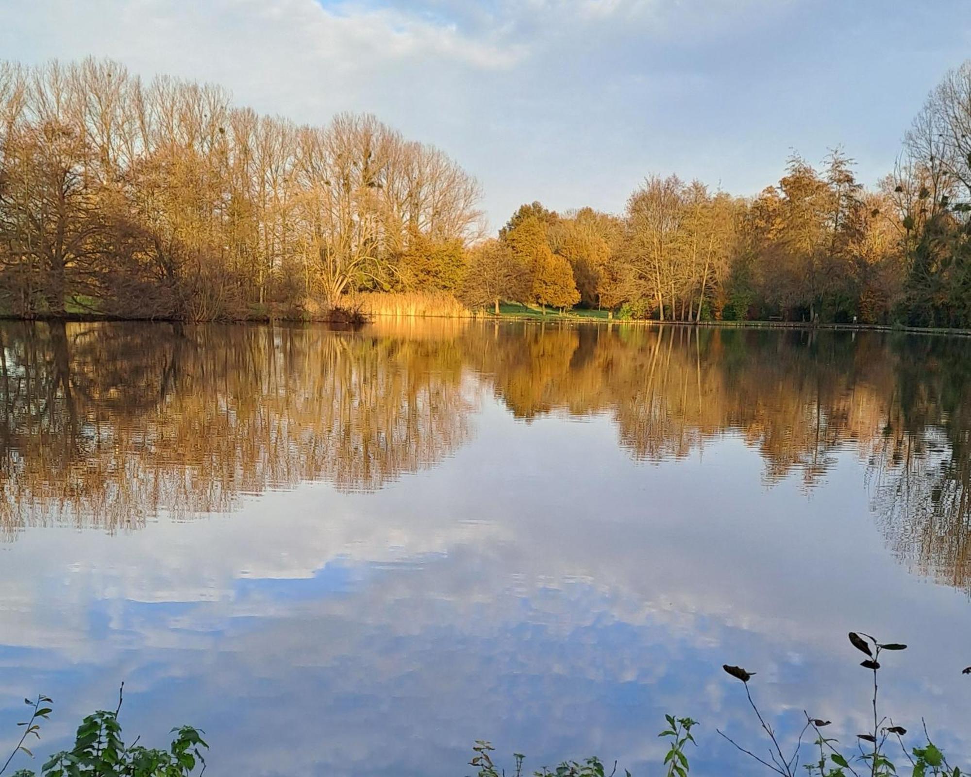 B&B La Lyre Saint-Georges-du-Bois  エクステリア 写真